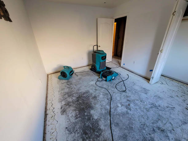 Best 24-hour water damage restoration  in Franklin, NJ