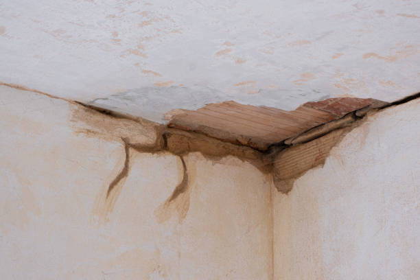 Best Sewage cleanup and water damage restoration  in Franklin, NJ