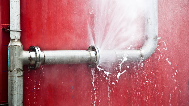 Best Water damage contractors near me  in Franklin, NJ
