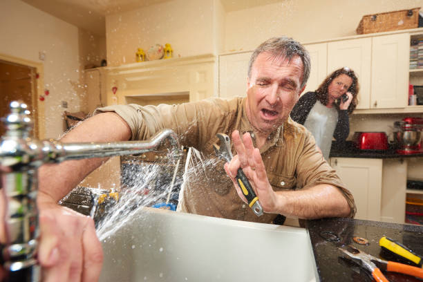 Best Water damage mitigation services  in Franklin, NJ